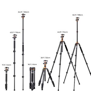 K&F Concept 62 inch DSLR Camera Tripod with Monopod + Aluminum Alloy Quick Release Plate for Camera and Cellphone Tripods K254A1+BH-28L 2-in-1 Quick Release Plate Kits (SA254M1)
