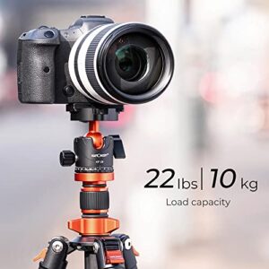 K&F Concept 62 inch DSLR Camera Tripod with Monopod + Aluminum Alloy Quick Release Plate for Camera and Cellphone Tripods K254A1+BH-28L 2-in-1 Quick Release Plate Kits (SA254M1)