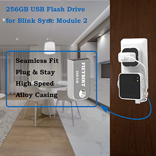 256GB Blink USB Flash Drive and Blink Sync Module 2 Mount, Space Saving and Easy Move Mount Bracket Holder for Blink Outdoor Indoor Security System (Blink Sync Module 2 is NOT Included)