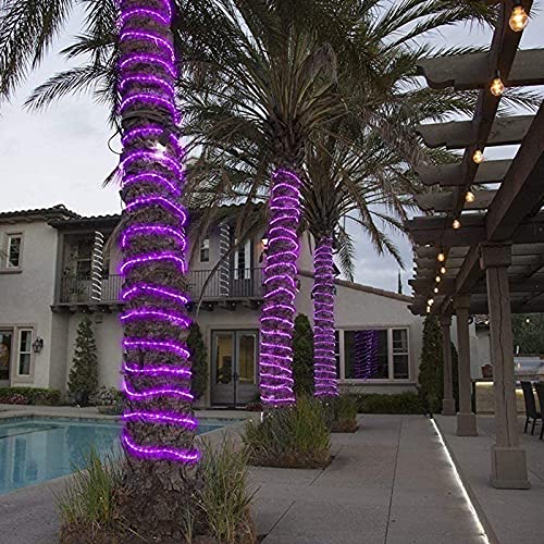 SUNSEATON Solar Rope Lights,50 LEDs 16ft/5M Waterproof Solar String Copper Wire Light,Outdoor Rope Lights for Garden Yard Path Fence Tree Wedding Party Decorative (Purple)