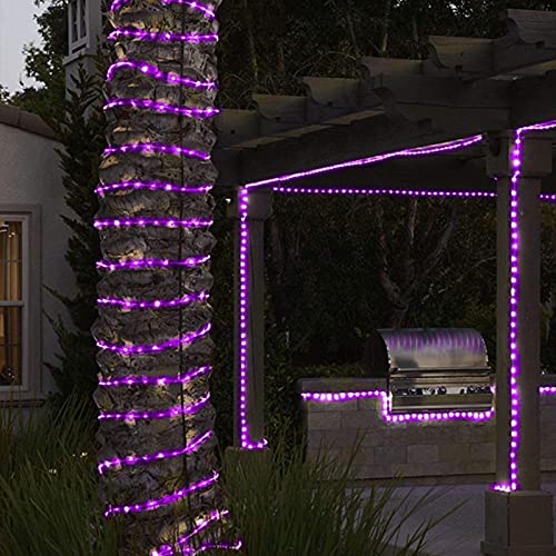 SUNSEATON Solar Rope Lights,50 LEDs 16ft/5M Waterproof Solar String Copper Wire Light,Outdoor Rope Lights for Garden Yard Path Fence Tree Wedding Party Decorative (Purple)