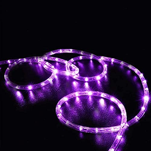 SUNSEATON Solar Rope Lights,50 LEDs 16ft/5M Waterproof Solar String Copper Wire Light,Outdoor Rope Lights for Garden Yard Path Fence Tree Wedding Party Decorative (Purple)