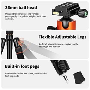 VICTIV Camera Tripod 81 inches Monopod, Heavy Duty Tripod for DSLR, Professional Aluminum Tripod with 360 Degree Ball Head and Carry Bag for Travel and Photograghy, Compatible with Canon Nikon Sony