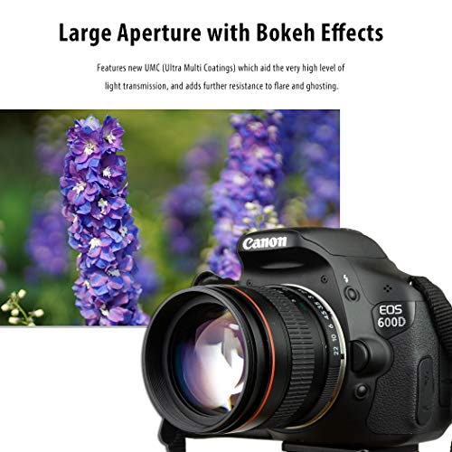 Lightdow 85mm F1.8 Medium Telephoto Manual Focus Full Frame Portrait Lens for Canon EOS Rebel T8i T7i T7 T6 T3i T2i 4000D 2000D 1300D 850D 800D 600D 550D 90D 80D 77D 70D 50D 6D 5D etc