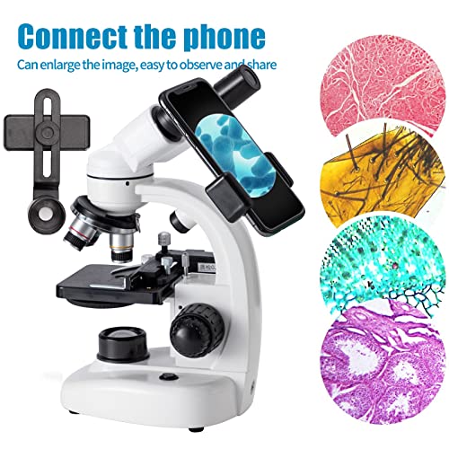 Compound Binocular Microscope, WF10x and WF25x Eyepieces,40X-2000X Magnification, LED Illumination Two-Layer Mechanical Stage