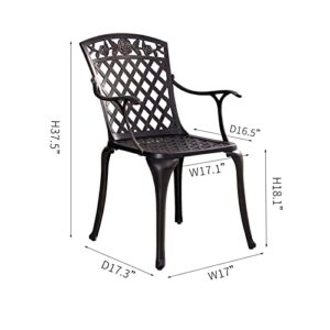 Withniture Cast Aluminum Patio Chairs,Outdoor Dining Chairs Set of 2 with High Back,Metal Patio Chairs,All Weather Outdoor Bistro Chair for Garden,Backyard(Bronze)