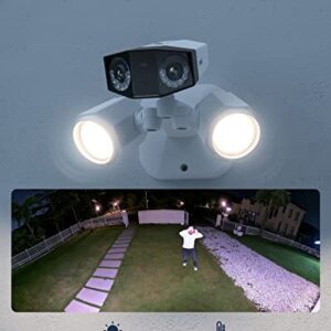 REOLINK 4K Floodlight Camera for PoE Security Camera System, IP Outdoor Camera in 180 Degree Ultra-Wide Angle, Human/Vehicle/Pet Alerts, 1800 Lumen Floodlights, Two Way Talk, Duo Floodlight PoE