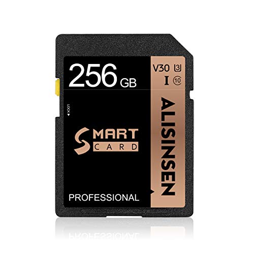 256GB SD Cards Memory Card 512GB High Speed Class 10 Secure Digital Cards for Body Camera ，Tablets and Drones