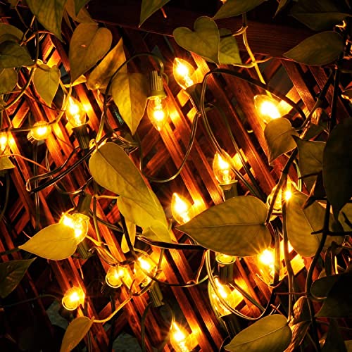 Pallerina C7 Christmas Lights, 25Ft C7 Clear Christmas String Lights with 27 C7 Warm White Bulbs, Vintage Christmas String Lights for Garden, Patio, Backyard, Cafe, Xmas Party, 5 Watt e12 Base