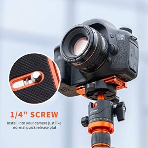 K&F Concept Aluminum Alloy Quick Release Plate with 1/4 Inch Screw for Camera, Cage, Cellphone etc (Orange)