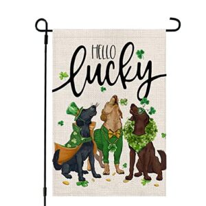 crowned beauty st patricks day dogs garden flag 12×18 inch double sided for outside small burlap green shamrock hello lucky yard holiday decoration cf739-12