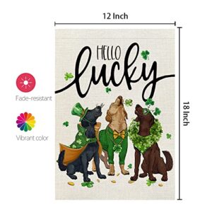 CROWNED BEAUTY St Patricks Day Dogs Garden Flag 12x18 Inch Double Sided for Outside Small Burlap Green Shamrock Hello Lucky Yard Holiday Decoration CF739-12