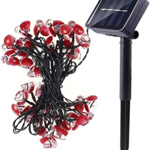 30LEDs Ladybug String Lights,AMZSTAR Waterproof Solar Light Indoor/Outdoor Decorative String Lights,Fairy Twinkle Wire Lights Solar Rope Light Decor for Christmas/Patio/Garden/Party (Warm whtie)