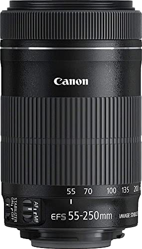 Canon EF-S 55-250mm f/4-5.6 IS STM Telephoto Zoom Lens (Import Model)