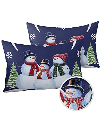 Outdoor Throw Pillow Covers Waterproof Pillow Cases 20x12In,Snowman Family Christmas Tree Snowflake Decorative Pillow Covers Cushion Cases for Couch Sofa Patio Garden,2 Pack Winter Snow Night