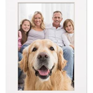 11x17 Mat for 16x20 Frame - Precut Mat Board Acid-Free White 11x17 Photo Matte Made to Fit a 16x20 Picture Frame, Premium Matboard for Family Photos, Show Kits, Art, Picture Framing, Pack of 1 Mat