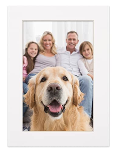 11x17 Mat for 16x20 Frame - Precut Mat Board Acid-Free White 11x17 Photo Matte Made to Fit a 16x20 Picture Frame, Premium Matboard for Family Photos, Show Kits, Art, Picture Framing, Pack of 1 Mat