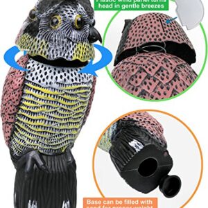 Galashield Owl Decoy to Scare Birds Away Scarecrow Fake Owl with Rotating Head