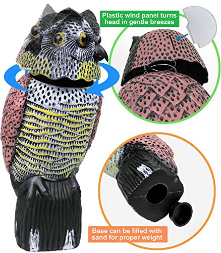 Galashield Owl Decoy to Scare Birds Away Scarecrow Fake Owl with Rotating Head