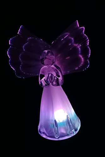 Starry Illuminate 1 PCS Solar Color Changing Style Garden Stake Light Pathway Stake Light (Fiber Wings Angel), Clear