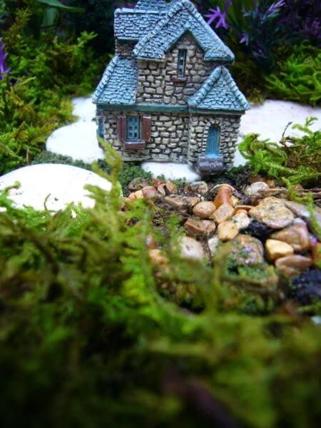 Miniature Fairy Garden Supplies for Micro Mini Gables Cottage House Gnome Fiddlehead GO 17356 for Fairy Garden, Dollhouse, Terrarium or Miniature Display