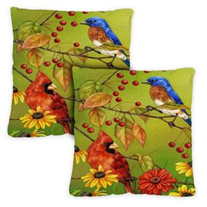 toland home garden birds n berries 18 x 18 inch decorative indoor pillow case only (2-pack)