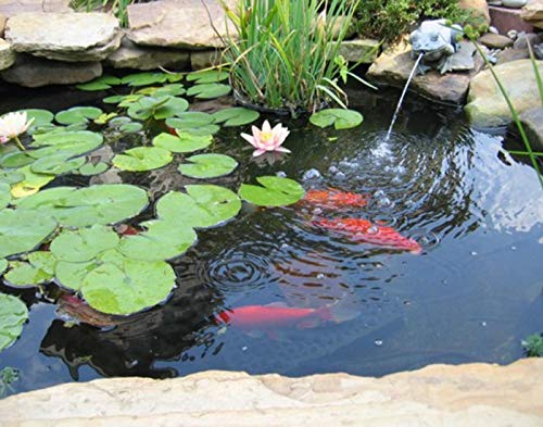 UWIOFF Small Pond Liner, 4 x 7 Feet 20 Mil Pond Skins Pond Liner Black LDPE Pond Liner for Waterfall, Fish Ponds, Garden Fountain(4-Foot by 7-Foot)