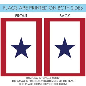 Toland Home Garden 112177 Service Star Flag 12x18 Inch Double Sided Garden Flag for Outdoor House Patriotic Flag Yard Decoration