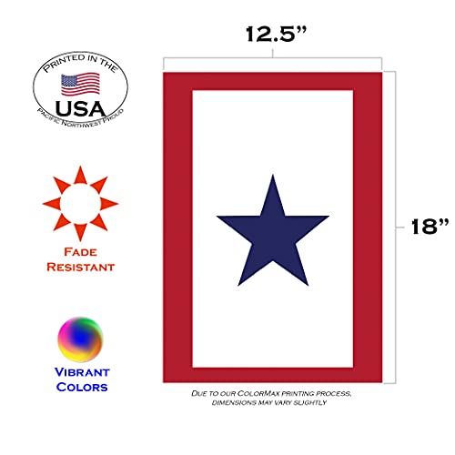 Toland Home Garden 112177 Service Star Flag 12x18 Inch Double Sided Garden Flag for Outdoor House Patriotic Flag Yard Decoration