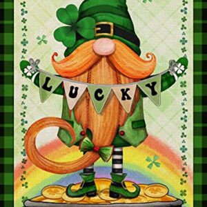 Covido Home Decorative St. Patrick's Day Gnome Garden Flag, Lucky Pot Gold Coins Shamrock Clover Yard Outside Decorations, Irish Luck Outdoor Small Decor Double Sided 12x18