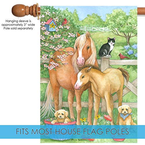 Toland Home Garden 109566 Pasture Pals Spring Flag 28x40 Inch Double Sided Spring Garden Flag for Outdoor House Horse Flag Yard Decoration