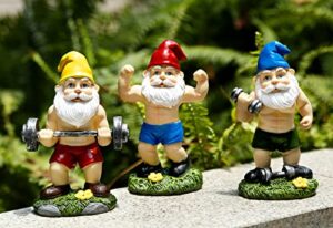 mrsivrop funny workout garden gnomes statues 3pcs 6.2 inches outdoor funny the muscular, barbell and dumbbell gnomes decorations set for yard, lawn, patio, indoor gnome figurine for home tabletop
