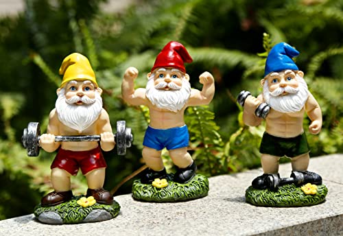 Mrsivrop Funny Workout Garden Gnomes Statues 3pcs 6.2 Inches Outdoor Funny The Muscular, Barbell and Dumbbell Gnomes Decorations Set for Yard, Lawn, Patio, Indoor Gnome Figurine for Home Tabletop