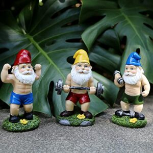 Mrsivrop Funny Workout Garden Gnomes Statues 3pcs 6.2 Inches Outdoor Funny The Muscular, Barbell and Dumbbell Gnomes Decorations Set for Yard, Lawn, Patio, Indoor Gnome Figurine for Home Tabletop