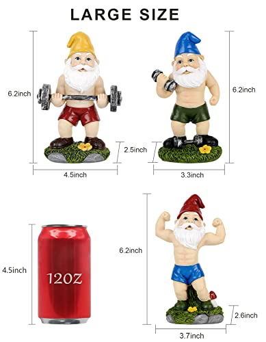 Mrsivrop Funny Workout Garden Gnomes Statues 3pcs 6.2 Inches Outdoor Funny The Muscular, Barbell and Dumbbell Gnomes Decorations Set for Yard, Lawn, Patio, Indoor Gnome Figurine for Home Tabletop