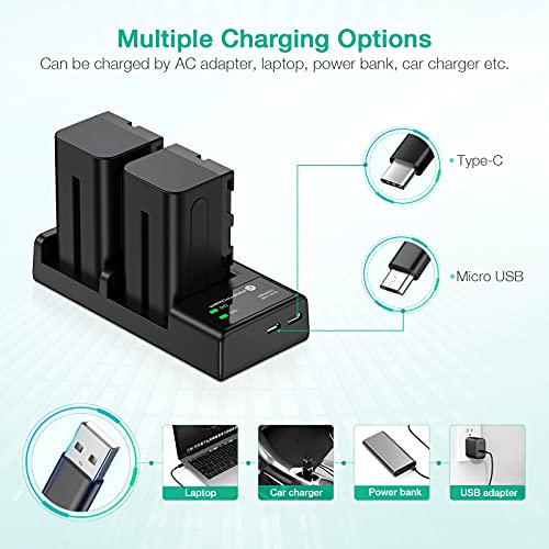 FirstPower NP-F750 Battery (2-Pack/5600mAh) and Dual USB Charger for Sony NP-F550 F570 F750 F770 F960 F970 Battery Sony CCD-TRV215 CCD-TR917 CCD-TR315 HDR-FX1000 HDR-FX7 HVR-V1U HVR-Z7U HVR-Z5U