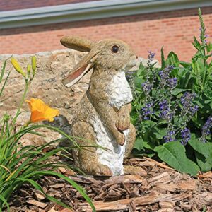 design toscano qm200681 hopper the bunny standing rabbit outdoor garden statue, 11 inch, full color