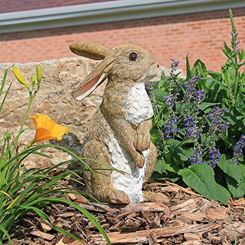 Design Toscano QM200681 Hopper The Bunny Standing Rabbit Outdoor Garden Statue, 11 Inch, full color