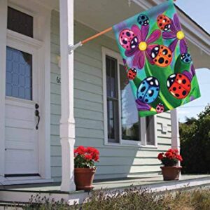 Toland Home Garden 1010067 Colorful Ladybirds And Ladybugs Ladybug Flag 28x40 Inch Double Sided for Outdoor Flower House Yard Decoration