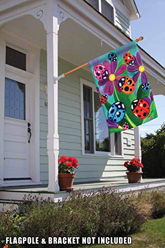 Toland Home Garden 1010067 Colorful Ladybirds And Ladybugs Ladybug Flag 28x40 Inch Double Sided for Outdoor Flower House Yard Decoration