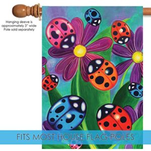 Toland Home Garden 1010067 Colorful Ladybirds And Ladybugs Ladybug Flag 28x40 Inch Double Sided for Outdoor Flower House Yard Decoration