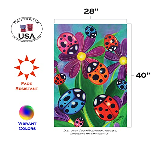 Toland Home Garden 1010067 Colorful Ladybirds And Ladybugs Ladybug Flag 28x40 Inch Double Sided for Outdoor Flower House Yard Decoration