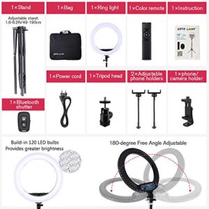 18 inch LED Ring Light with Tripod Stand Dimmable Makeup Selfie Ring Light for Studio Portrait YouTube Vlog Video Shooting with Carrying Bag and Remote Controller, CRI 90