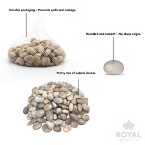 Royal Imports 5LBS River Rocks Decorative Ornamental Pebbles, Garden Landscaping Stones, Gravel Filler for Plants, Vases, Succulents, Home Decor, Aquariums, Crafting, Animal Habitat - Large Light