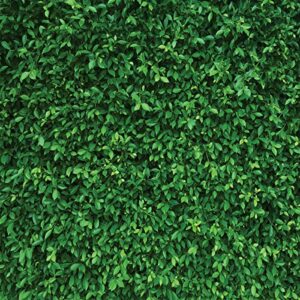 lywygg 8x8ft green leaves photography backdrops mmicrofiber nature backdrop birthday background for birthday party seamless photo booth prop backdrop cp-87-0808