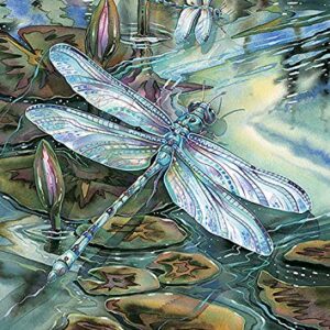 Toland Home Garden 1012328 Dragonfly and Pond Dragonfly Flag 28x40 Inch Double Sided for Outdoor Lilypad House Yard Decoration