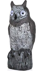 galashield owl decoy | plastic owls to scare birds away with solar powered led eyes | owl statue for garden & outdoors