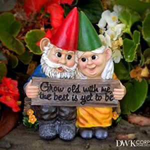 DWK - Growing Old Together - Garden Gnome Couple in Love Collectible Figurine Best Friends Lovers Romantic Statue Indoor Outdoor Garden Patio Home Décor, 5.75-inch