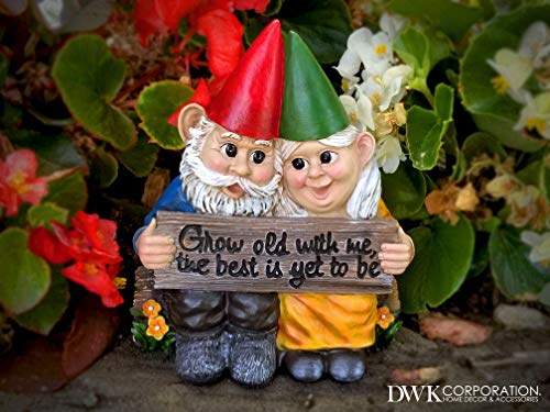 DWK - Growing Old Together - Garden Gnome Couple in Love Collectible Figurine Best Friends Lovers Romantic Statue Indoor Outdoor Garden Patio Home Décor, 5.75-inch