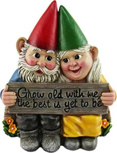 dwk – growing old together – garden gnome couple in love collectible figurine best friends lovers romantic statue indoor outdoor garden patio home décor, 5.75-inch